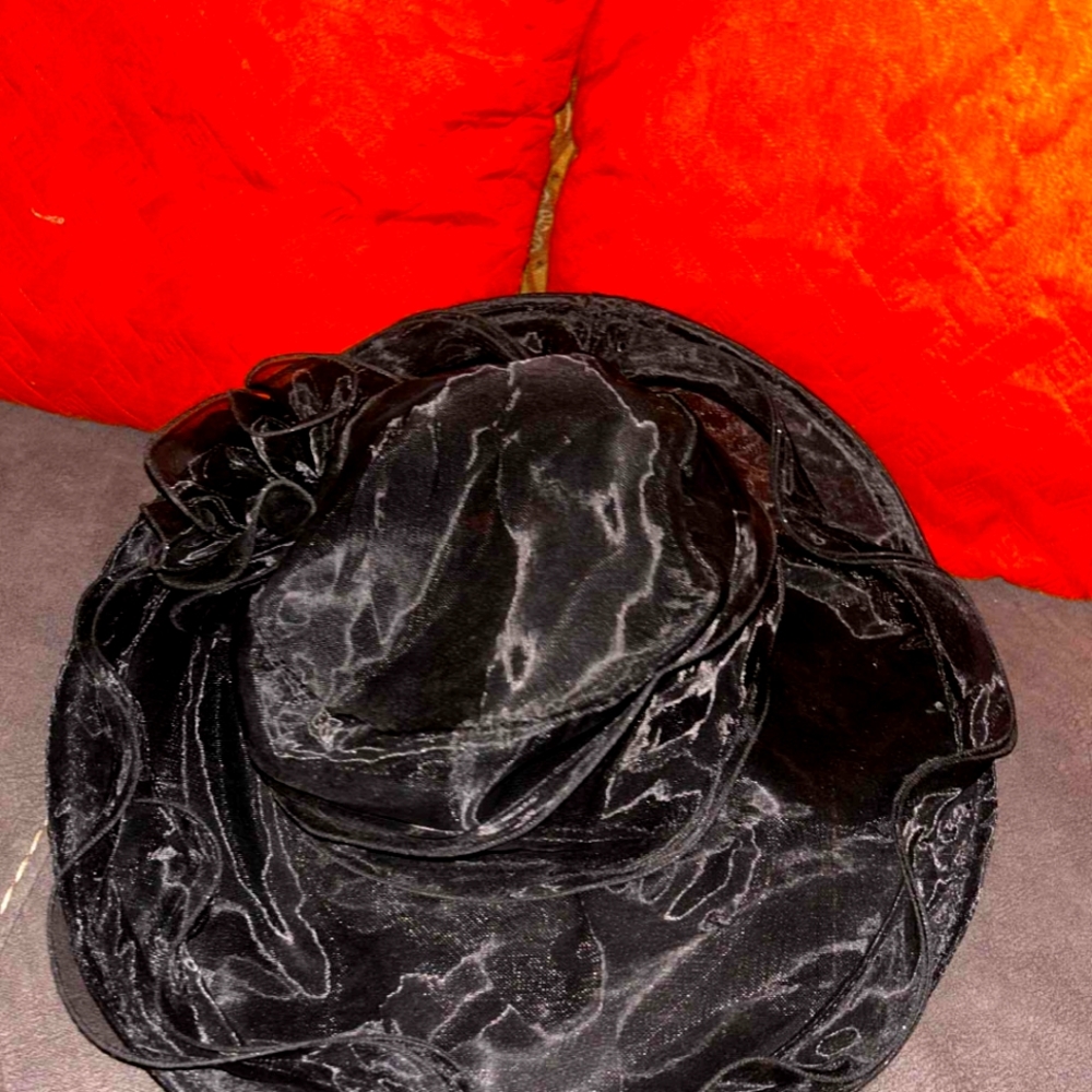 Elegant Black Sheer Hat